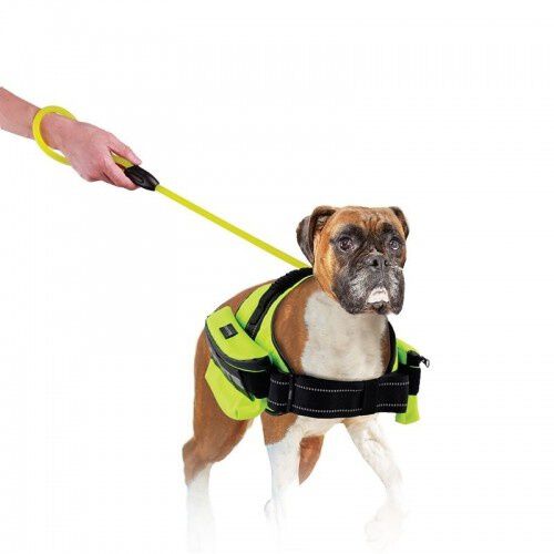 All for paws correa k nite reflectante para perros, , large Imagen numero 2