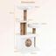 COSTWAY &Aacute;rbol Rascador para Gatos, Torre para Gatos con Percha Superior Acolchonada en Forma de Flor, Condominio y Cama, 2 Bolas Colgantes con Cascabel y Postes, Mueble Multinivel para Escalar (Beige), , large indicador imagen numero 5