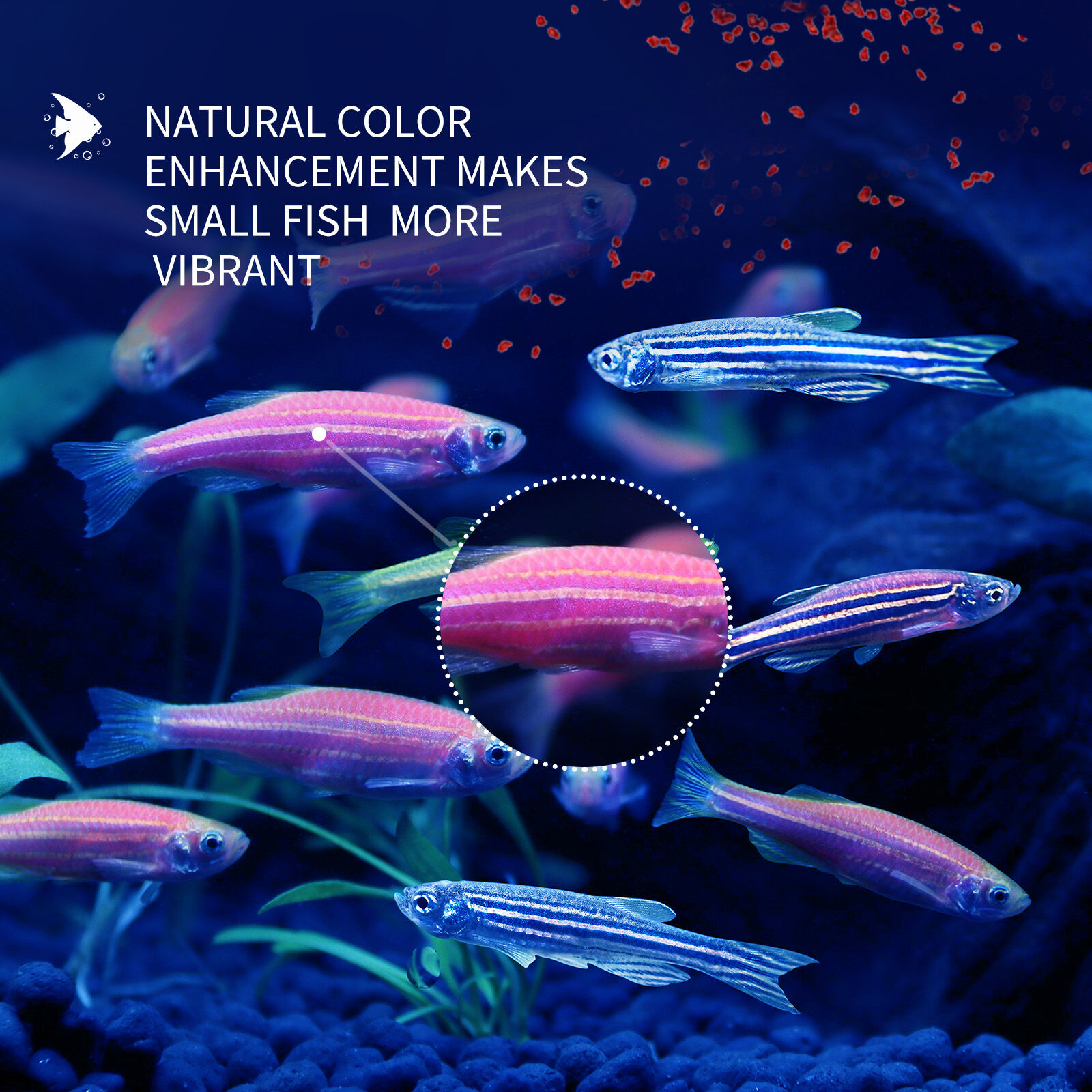 Nobleza - Ali1mento para Pez Peque&ntilde;o, Granulado Blando de Lento Hundimiento para Peces, 45 g/ 100 ml, , large Imagen numero 4