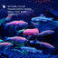 Nobleza - Ali1mento para Pez Pequeño, Granulado Blando de Lento Hundimiento para Peces, 45 g/ 100 ml, , large indicador imagen numero 4