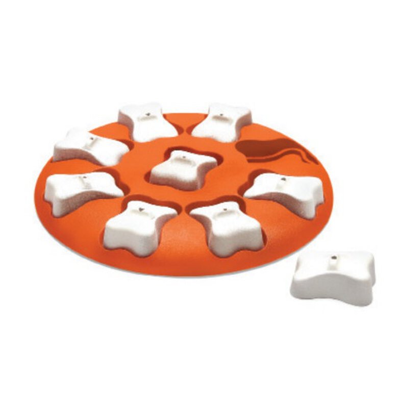 Juego de inteligencia Dog Smart naranja