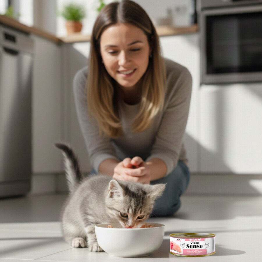 12 Latas x 70 g Dibaq Sense Lata Kitten Pollo con Manzana para gatos, , large Imagen numero 4