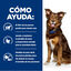 354 g Hill's Prescription Diet Metabolic Control de Peso para perros, , large indicador imagen numero 4