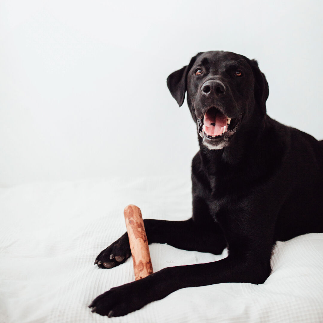 BIMORDISCOS Madera de olivo con Aceite de Salm&oacute;n para perros Pack 2 x L, , large Imagen numero 4