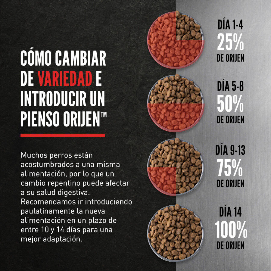 Orijen Tundra Pienso Seco Cordero y Ciervo para perros, , large Imagen numero 6