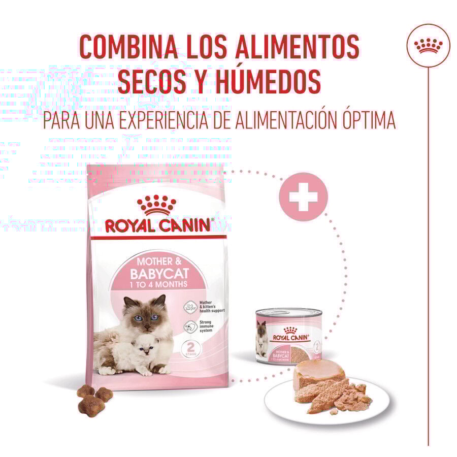 Royal Canin Mother &amp; Baby mousse latas para gatos thumbnail