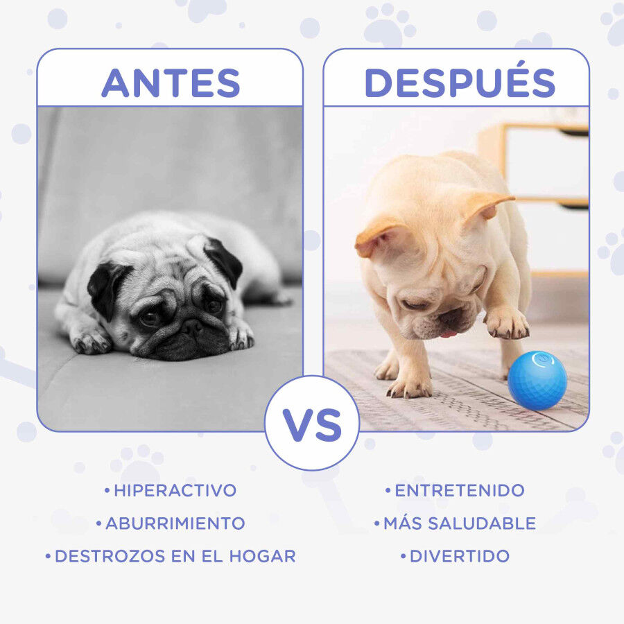 Pelota Interactiva Inteligente con Luces LED para Perros &ndash; TheKingPet, , large Imagen numero 3