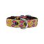 LOYAL COLLAR DE PIEL ARTESANAL TALLA S PARA PERROS, , large indicador imagen numero 1