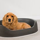 Cesta para perro color Gris, , large image number null