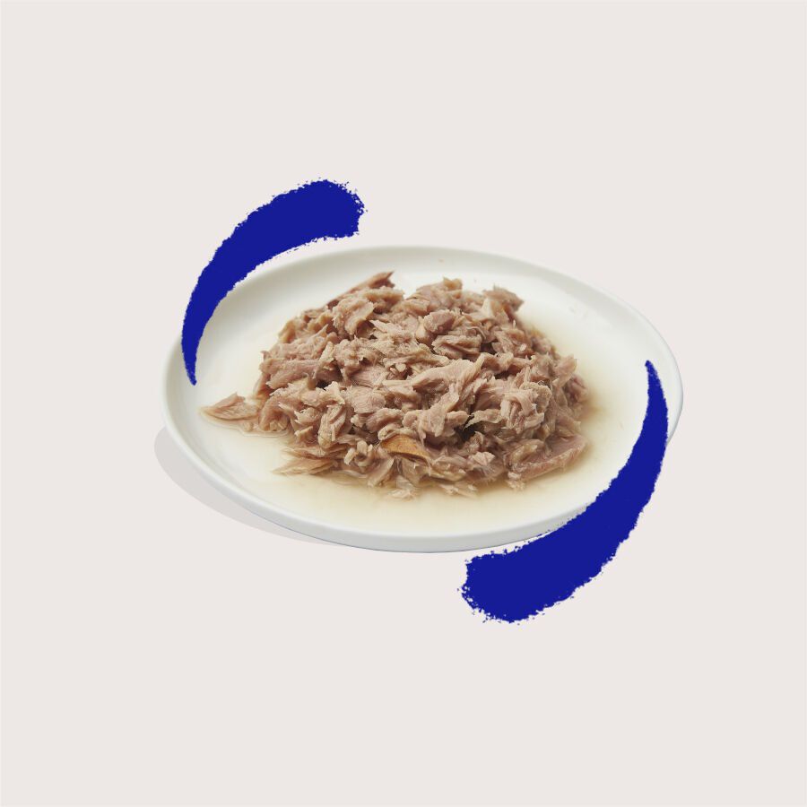 Edgard &amp; Cooper Filetes de Atún lata para gatos thumbnail