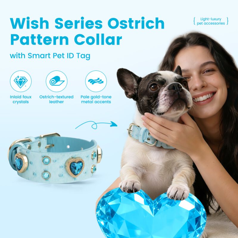 PawView Collar para Perro de Cuero Turquesa Claro con Cristales de Coraz&oacute;n y Placa de Identificaci&oacute;n QR Inteligente - Elegante, Seguro y Ajustable, , large Imagen numero 2