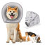 Nobleza Collar Isabelino Perro Plegable, Collar de Cono para Perros Anti- Mordida Ajustable, Gruesa y Suave Collar de Seguridad para Gatos Perros Recuperación de Cirugía o Heridas, M, , large indicador imagen numero 1