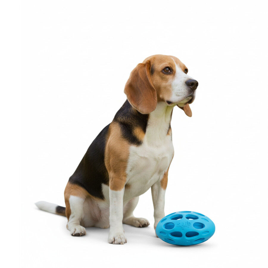 All For Paws Meta Ball Pelota Azul Juguete para perros, , large Imagen numero 3