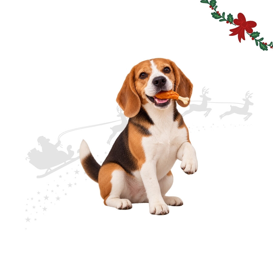 1 pack x 6 uds. Wonder Christmas Muslo de Pollo Snacks para perros, , large Imagen numero 1
