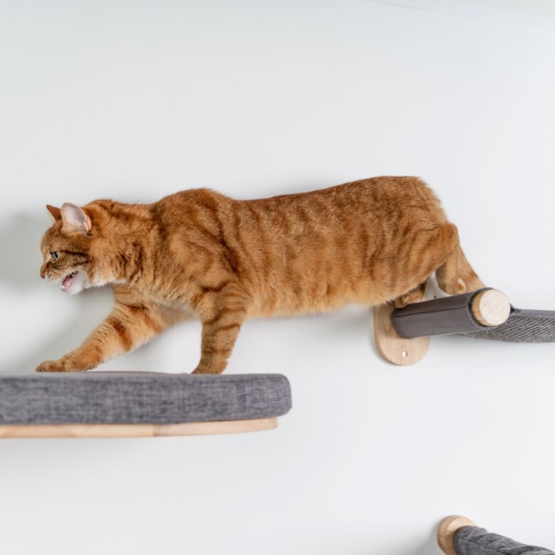 Rhrquality Muro Escalada Puente Para Gatos thumbnail