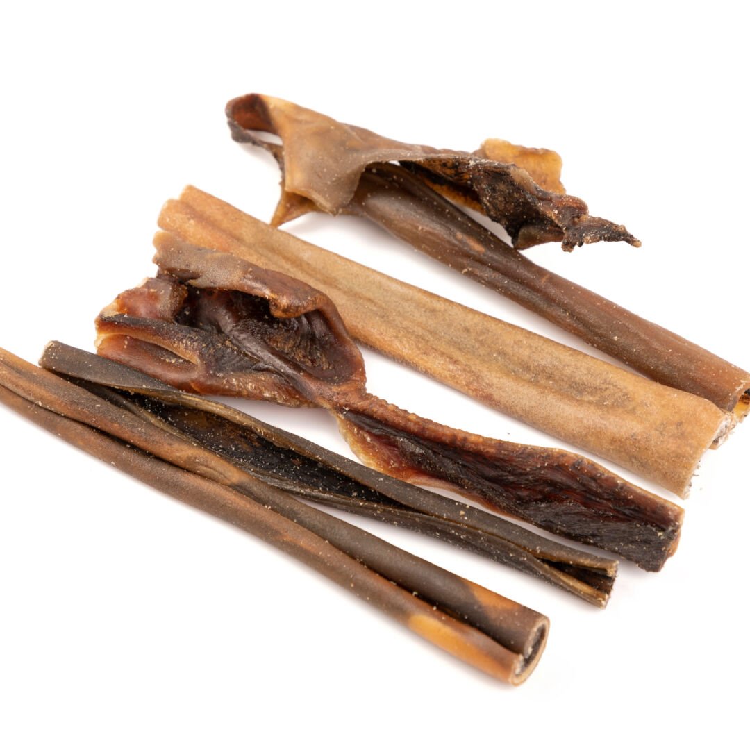 BIMORDISCOS Piel de camello para perros, , large Imagen numero 4