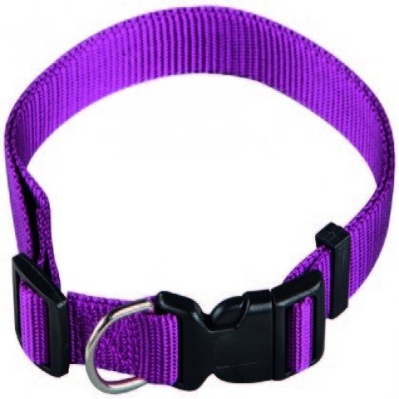 promedio Perfecto Compuesto Arppe Basic Collar de Nylon Morado para perros