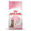 3.5 kg Royal Canin Kitten Sterilised pienso para gatos, , large indicador imagen numero 1