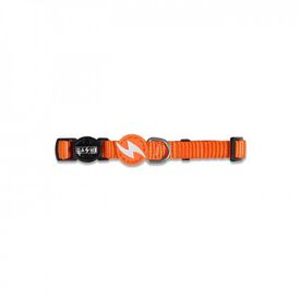 Collar de nylon para gatos color Naranja