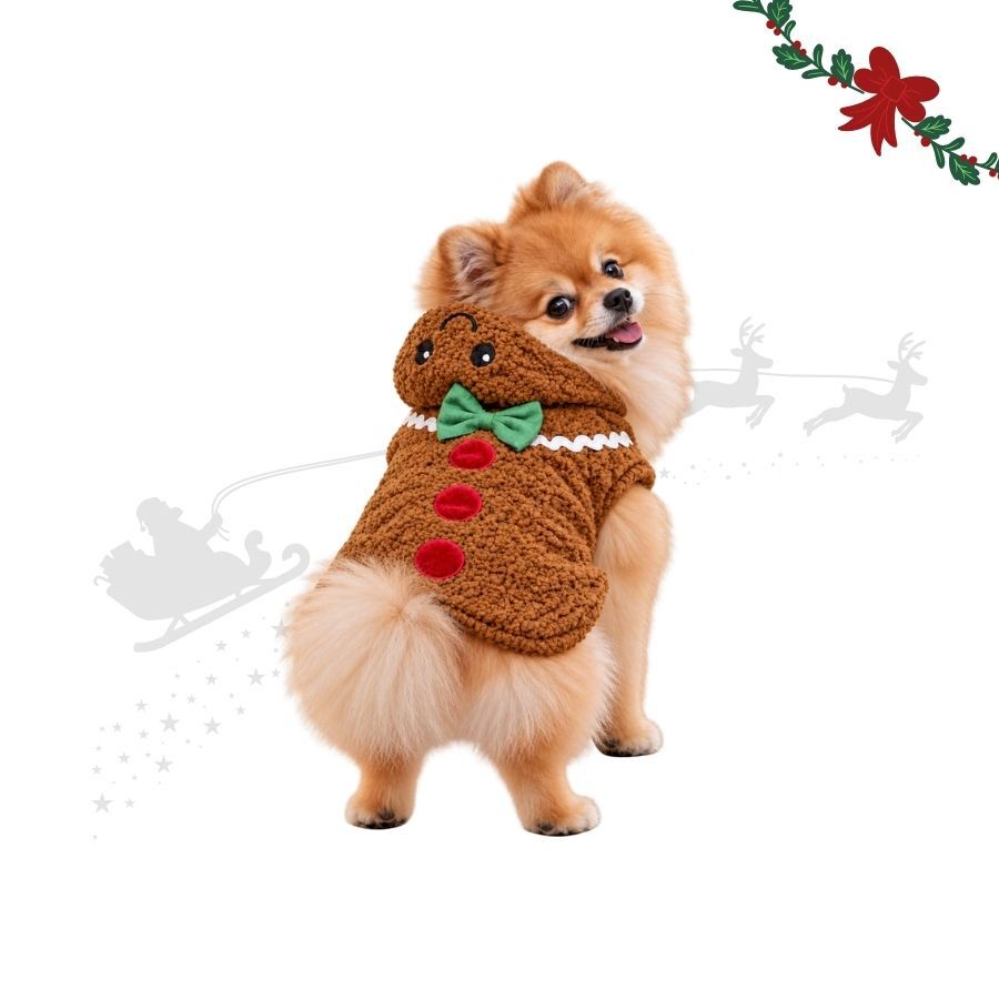 Wonder Christmas Disfraz Galleta Jengibre para perros, , large Imagen numero 1