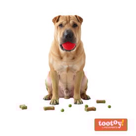 Tootoy! Pelota Toughie Rubber de Goma Roja para perros