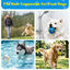 Nobleza Pelota Perro Indestructible Pack de 3 &ndash; Juguete Interactivo de Goma E-TPU Flotante y Ultrarresistente para Perros Peque&ntilde;os, Medianos y Grandes, Pelotas Limpiadientes &Oslash; 7,6 cm, , large indicador imagen numero 5