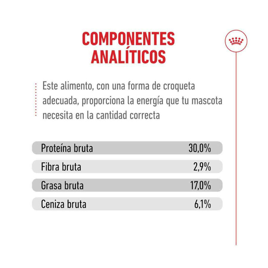 4 kg Royal Canin Ageing 11+ pienso para gatos, , large Imagen numero 10