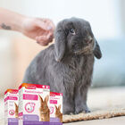 Beaphar RabbitComfort Difusor y Recambio para conejos, , large image number null