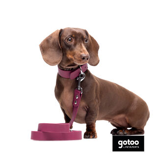 Gotoo Correa Biothane roja vino para perros