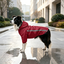 Gotoo Abrigo Impermeable Reflectante Rojo para perros, , large indicador imagen numero 1