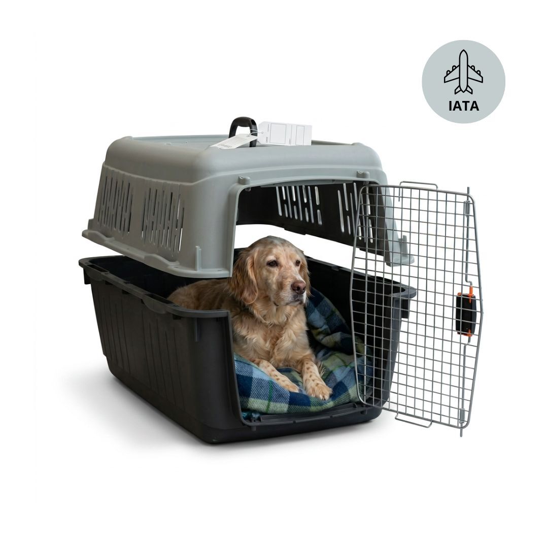 Nayeco Bracco Travel IATA Transport&iacute;n para perros, , large Imagen numero 2