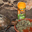 JBL Proterra Herbil alimento para tortugas, , large indicador imagen numero 5