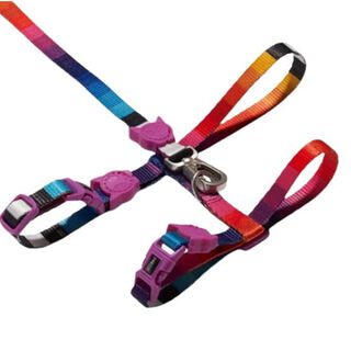 Zee.dog Arnés y Correa Prisma para perro