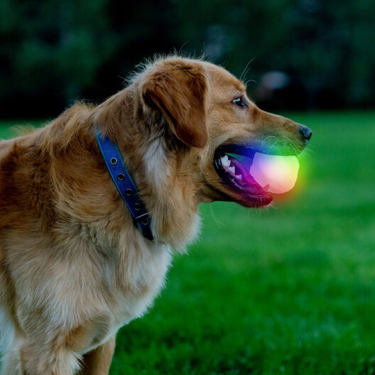 Nite Ize Glowstreak Disc-O LED Pelota para perros, , large image number null