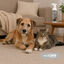 Nice Care Repelente Anti Orines para perros y gatos, , large indicador imagen numero 2