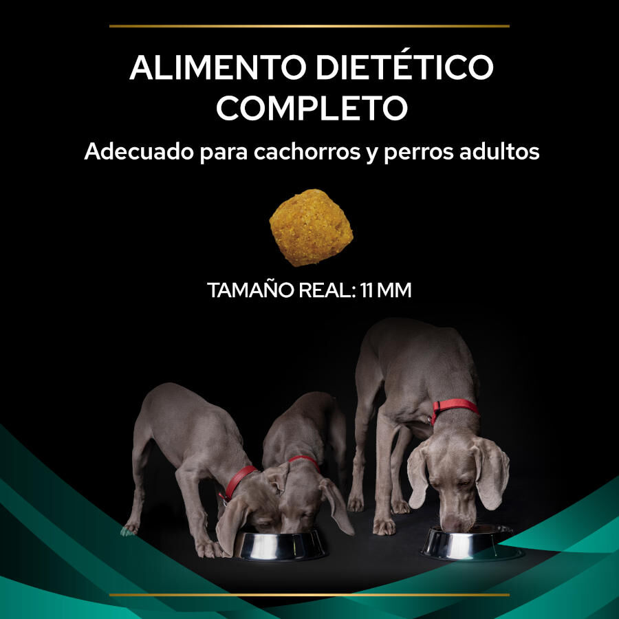12 kg Pro Plan Veterinary Diets Gastrointestinal pienso para perros, , large Imagen numero 3