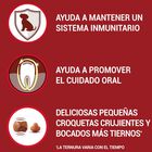 Purina One Mini Adult Bifensis Buey pienso para perros, , large image number null