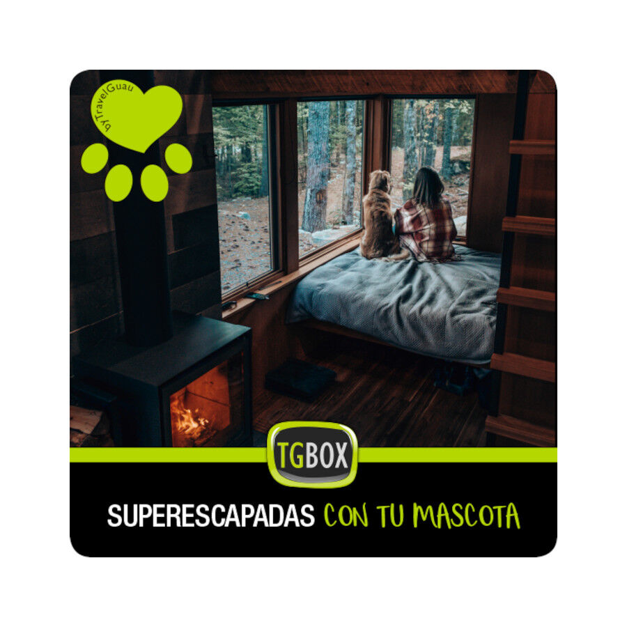 Tgbox Superescapadas con tu mascota, , large Imagen numero 1