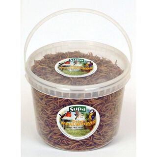 Gusanos liofilizados Supa para pájaros sabor Natural