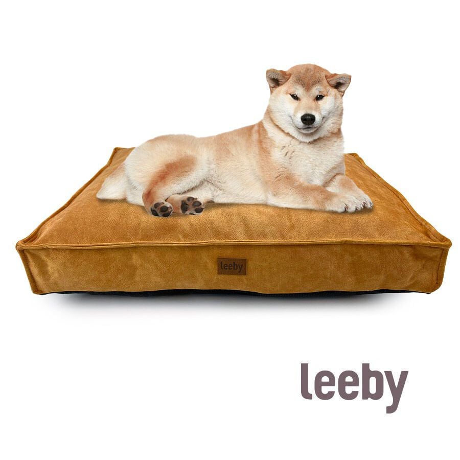 Leeby Colchoneta Impermeable y Desenfundable Dorada para perros thumbnail