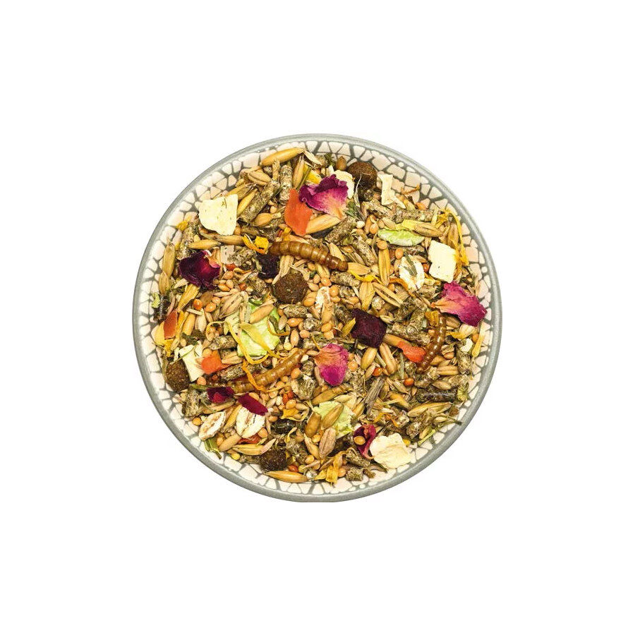 Bunny Dream Basic Alimento Nutricional Básico para hámster enanos. thumbnail