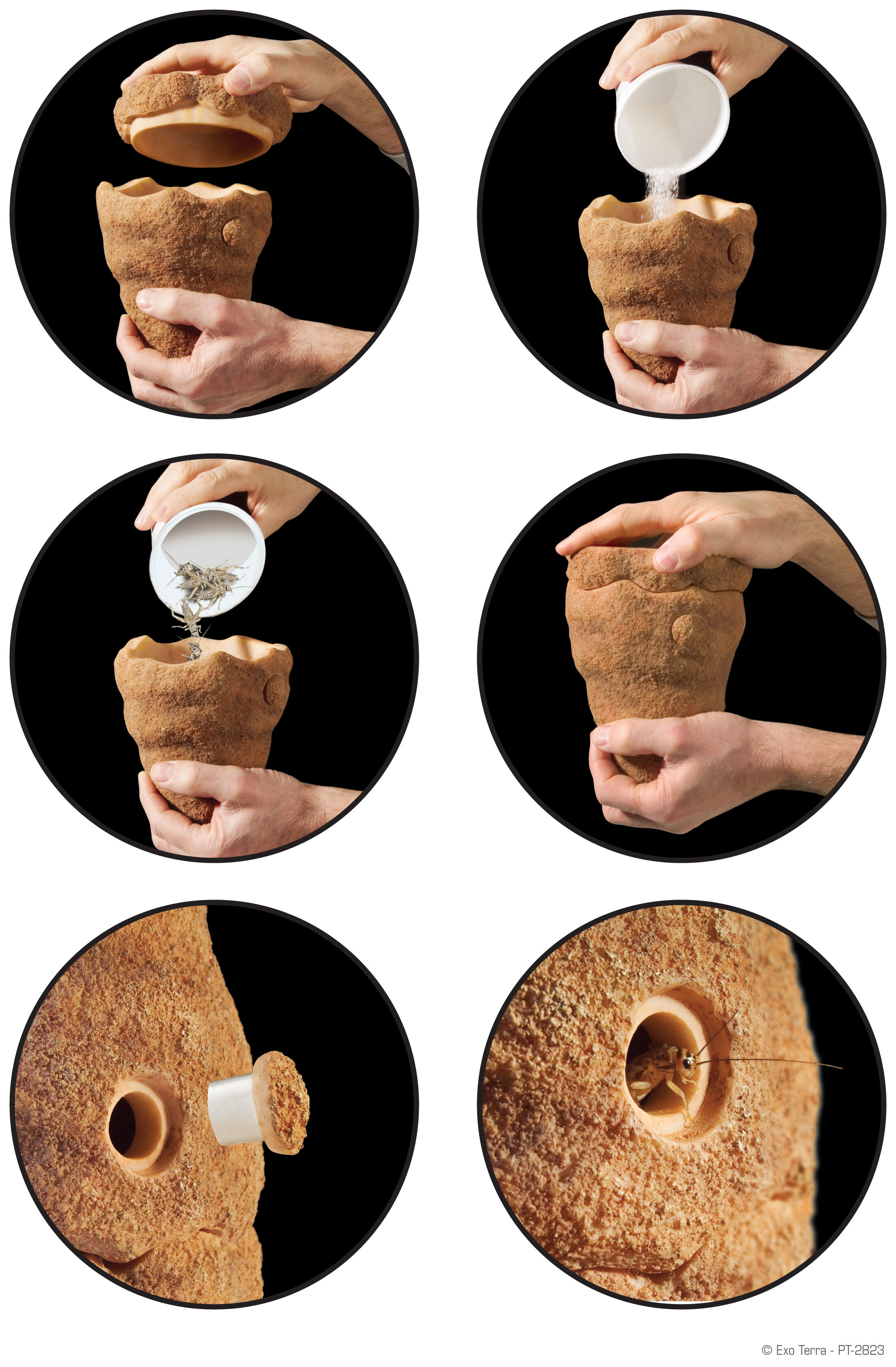 Exo Terra Exo Terra Comedero Dispensador Termitas para terrario thumbnail