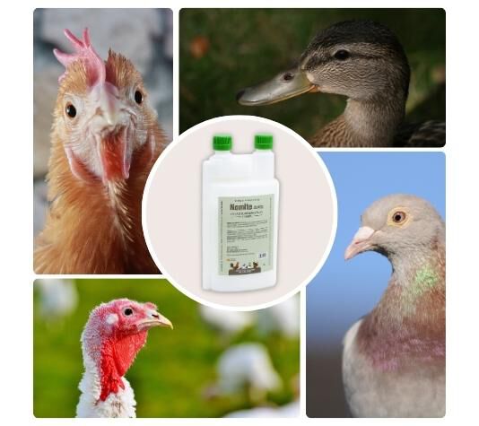 FINCA CASAREJO Nomite Pienso Complementario Liquido para pájaros thumbnail