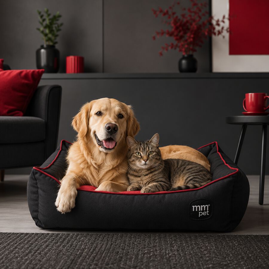 CAMA PERRO Y GATO RECTANGULAR CLASSIC MMPET, , large Imagen numero 2
