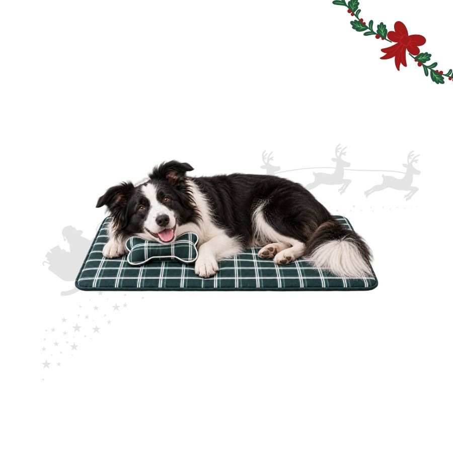 Wonder Christmas Set Manta y Cojin Hueso para perros, , large Imagen numero 1
