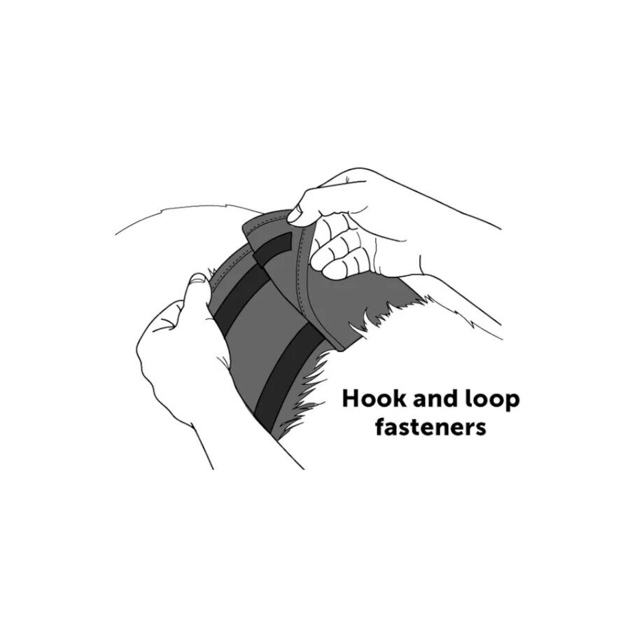 Flamingo Pañal Lavable para perros machos thumbnail