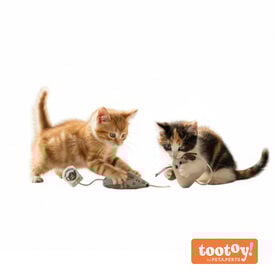 Tootoy! Ratón de Tela con Catnip para gatitos