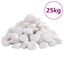 vidaXL Guijarros pulidos blancos 10 kg 2-5 cm, , large indicador imagen numero 7
