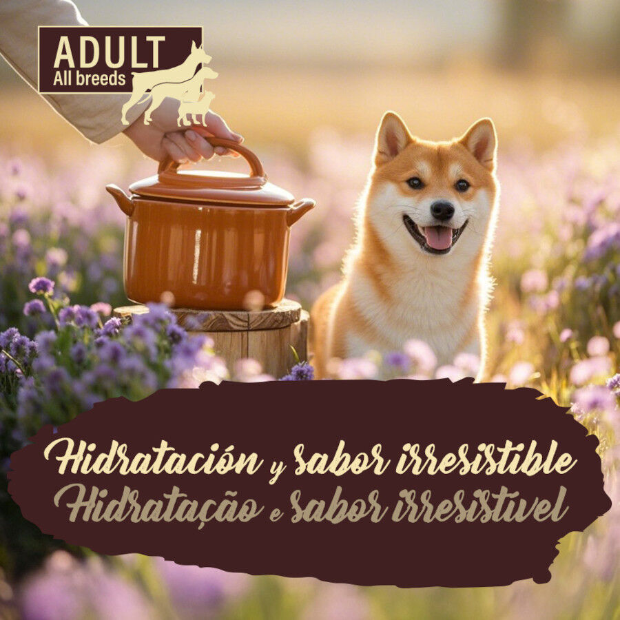 300 g True Origins Pure Adult Gently Coocked Pavo y Patata sobre para perros, , large Imagen numero 5