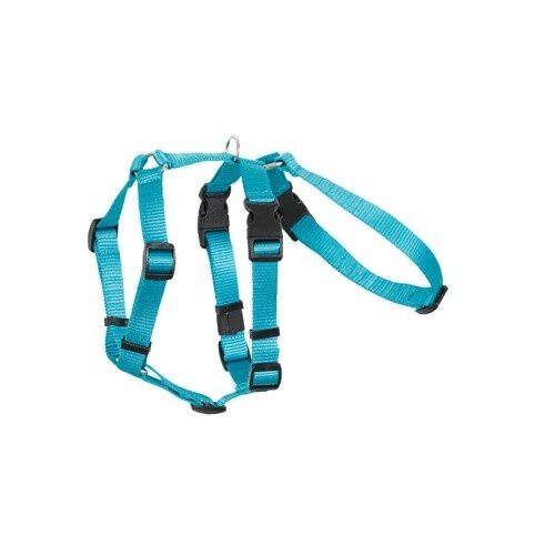 Arppe arn&eacute;s de nylon triple turquesa para perros, , large Imagen numero 1